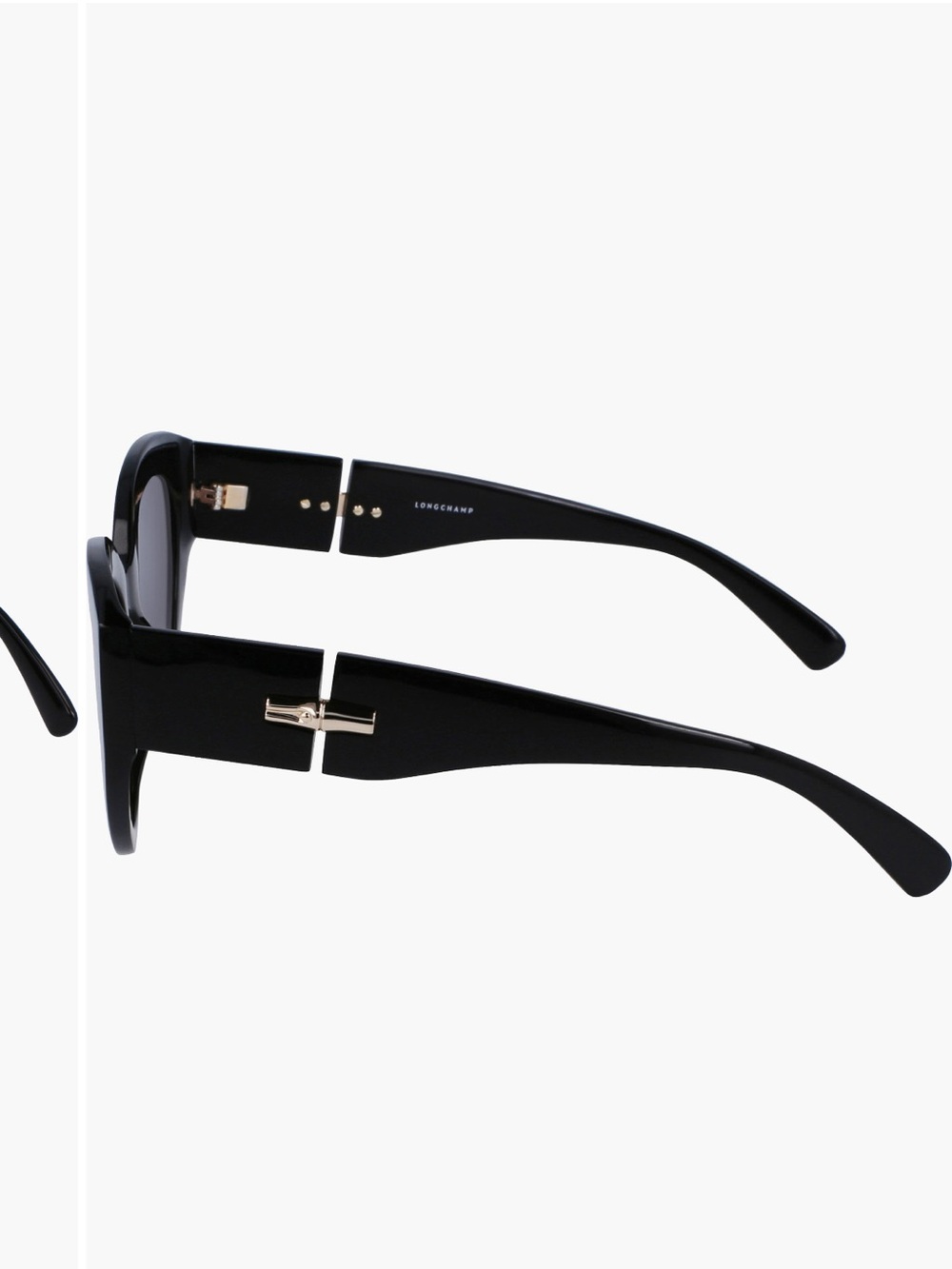 Longchamp Roseau 54mm Gradient Cat Eye sunglasses black - Picture 5 of 10